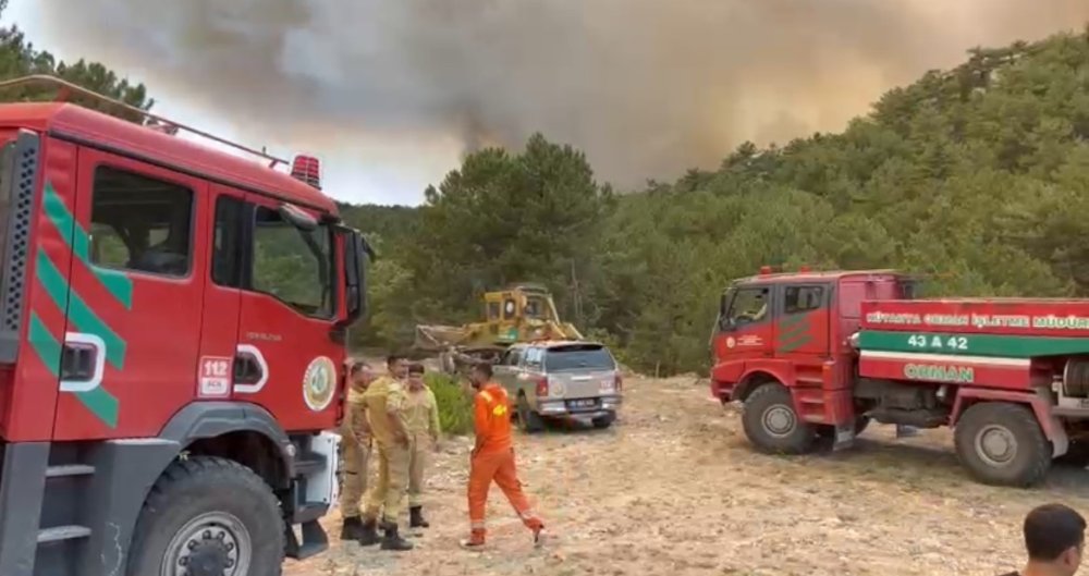 orman-bolge-muduru-yanginin-ortasinda-kaldi.jpg