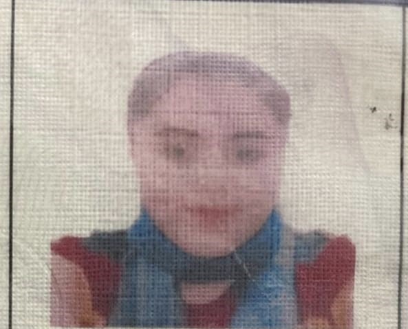 11921808.jpg