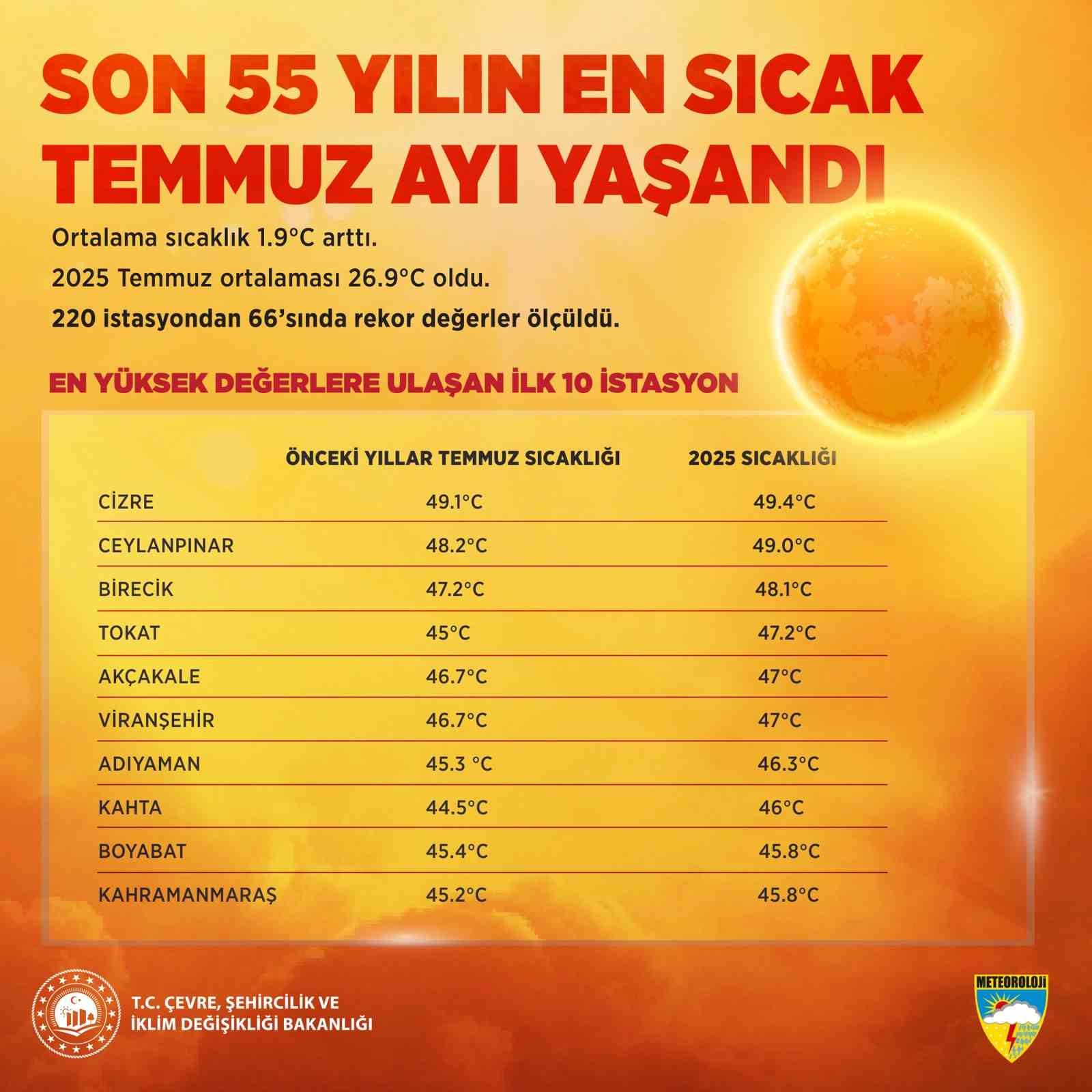 11931208.jpg