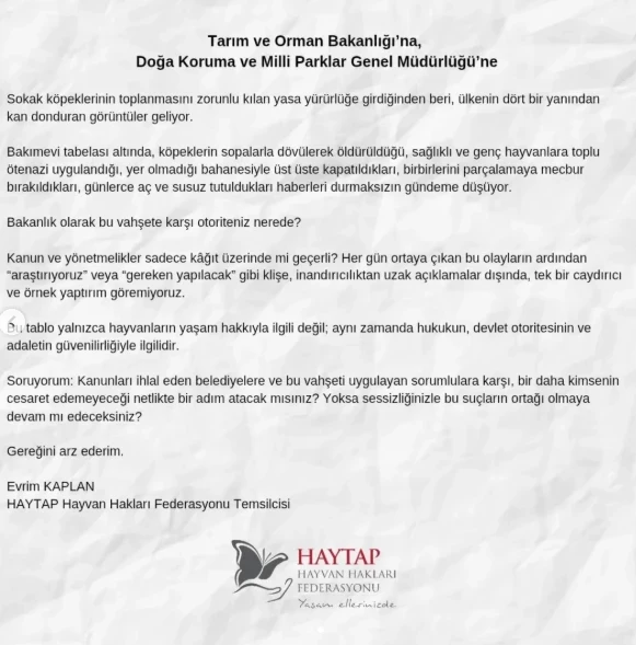 ekran-alintisi-ltol-1.webp