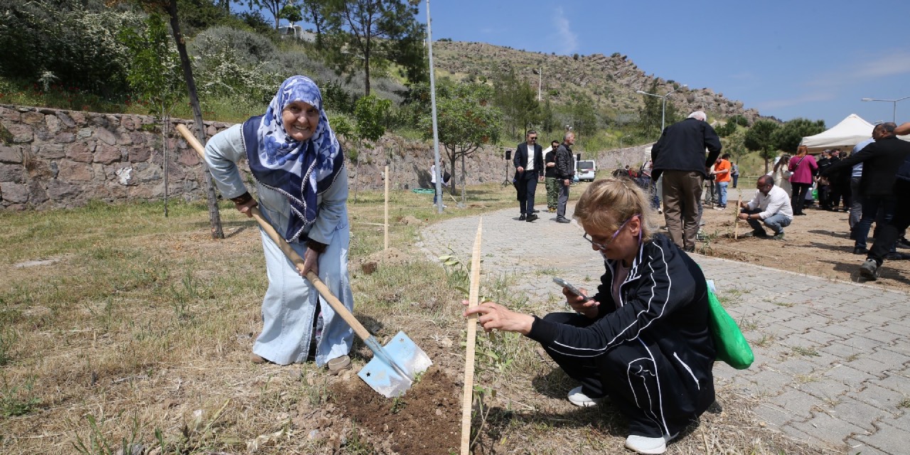 yeni-proje-45.jpg