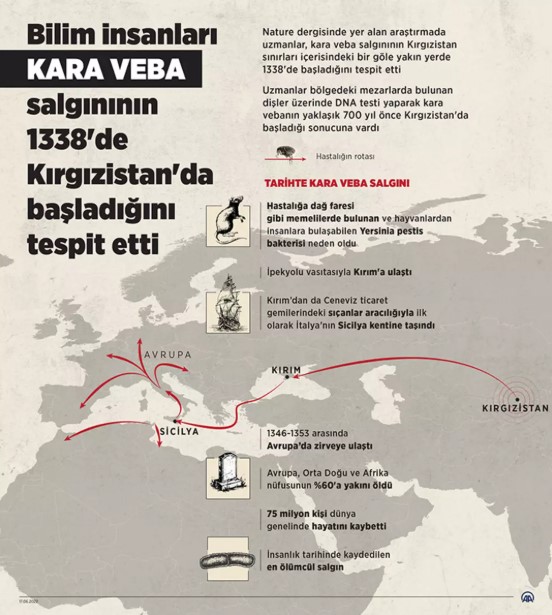 veba3.jpg