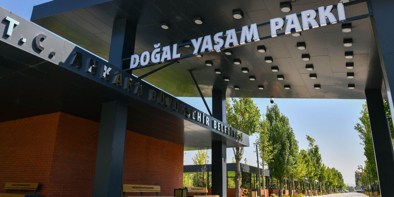 yeni-proje-50-002.jpg
