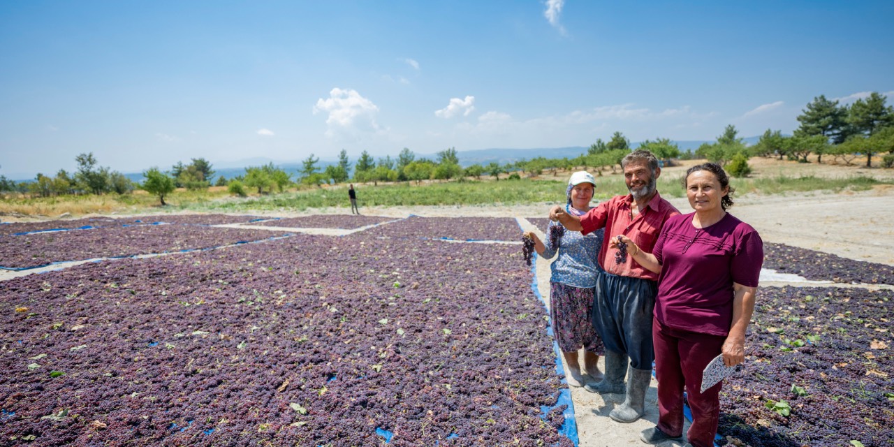 yeni-proje-53.jpg