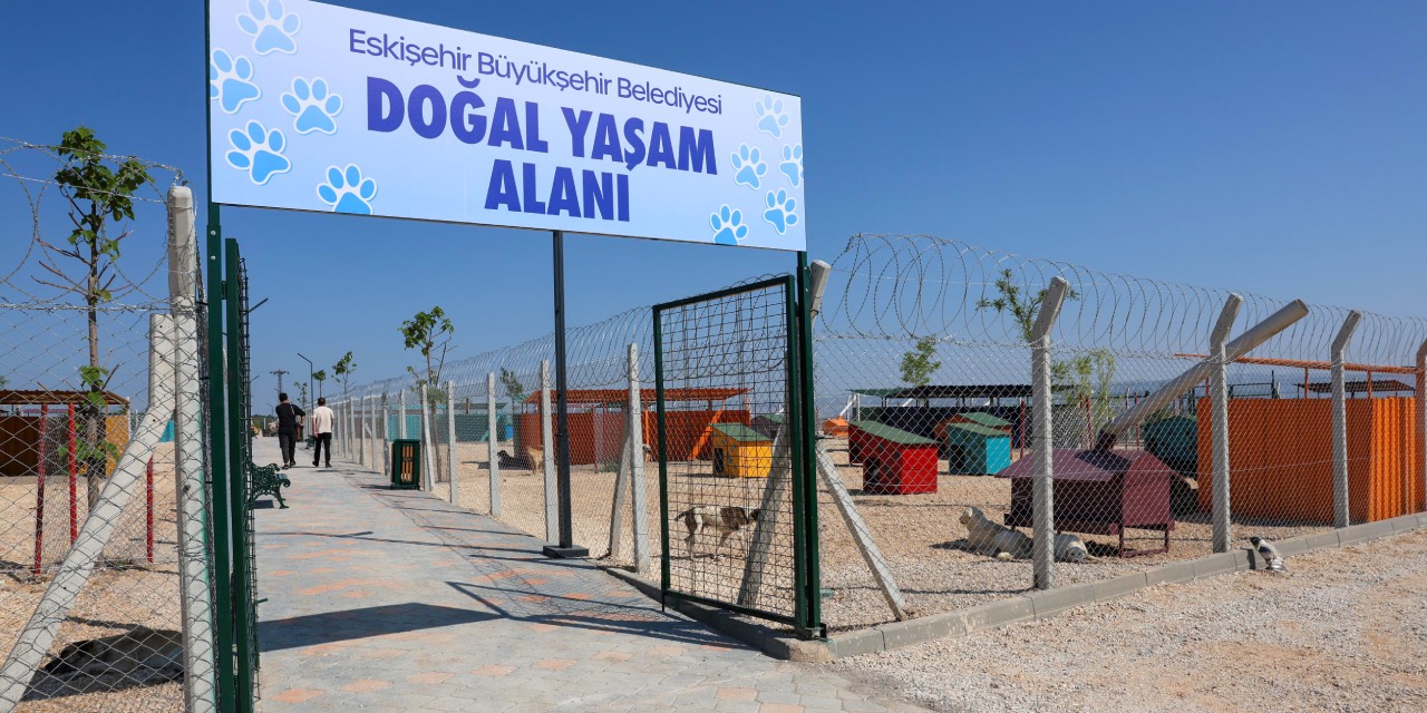 yeni-proje-54.jpg