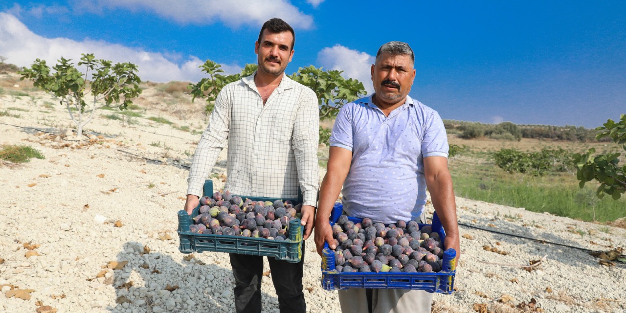 yeni-proje-55-003.jpg