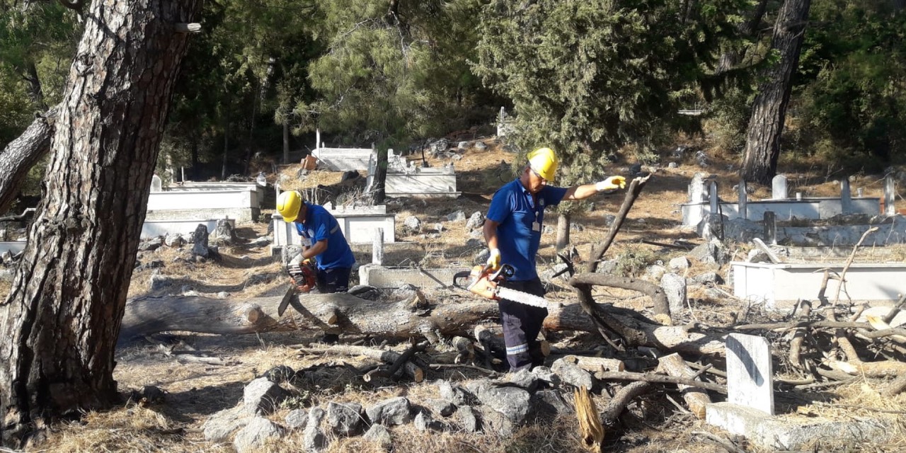 yeni-proje-67-004.jpg