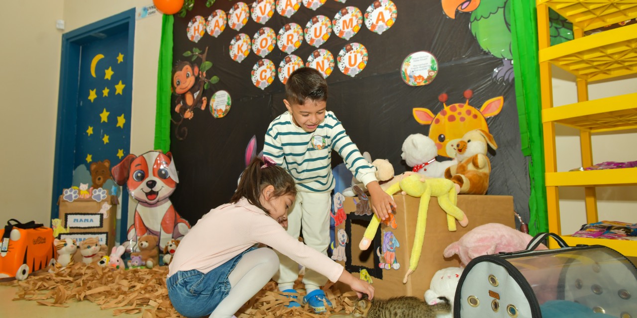 yeni-proje-64-001.jpg