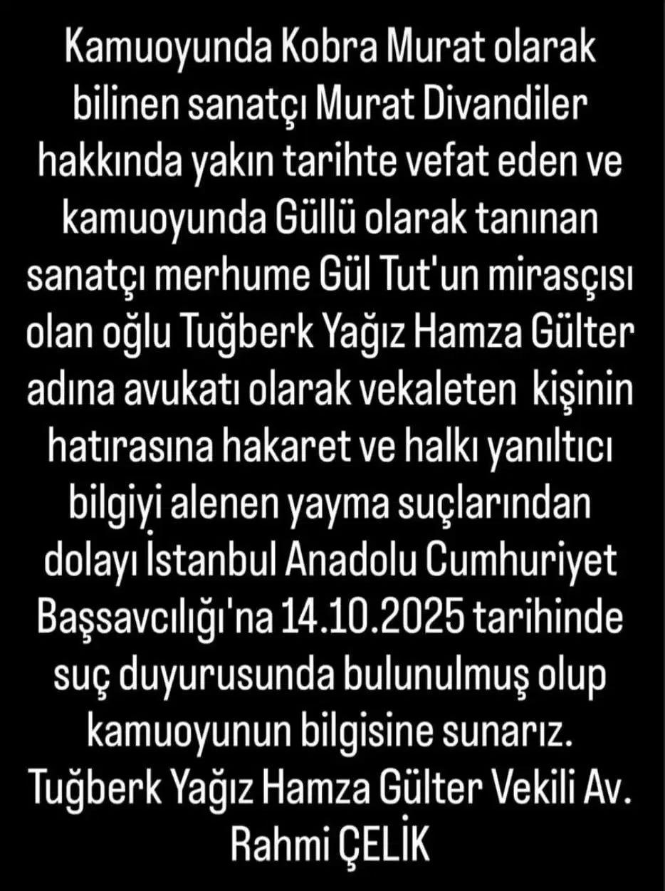 gulluuu-jics.webp