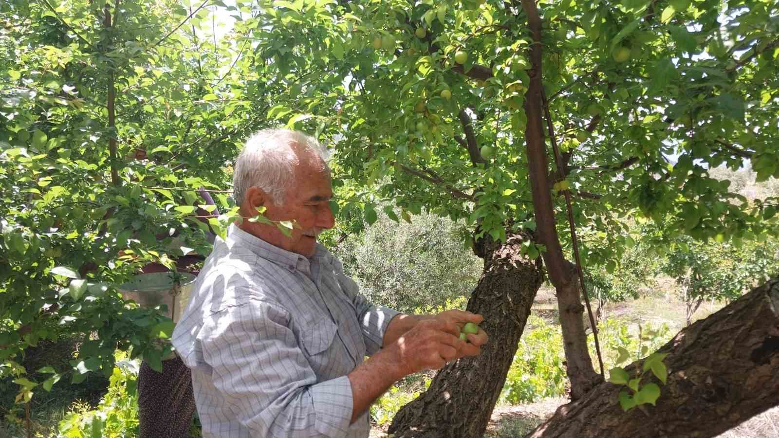 erik-hasadi1.jpg