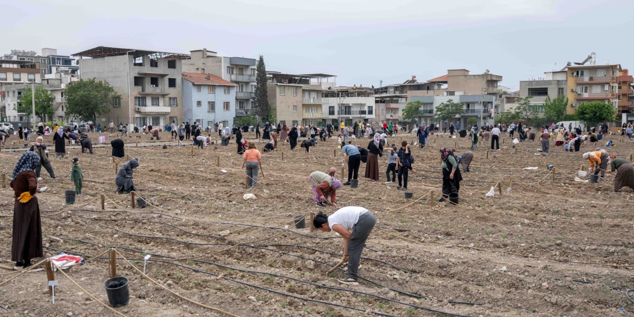 yeni-proje-kopyasi.jpg