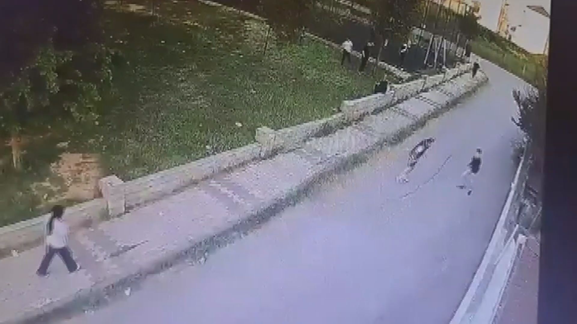 13525038.jpg