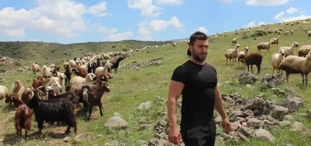 mehmet-demir-hayvancilik.jpg