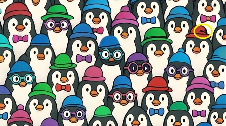 penguen-test-yanit-2.jpg