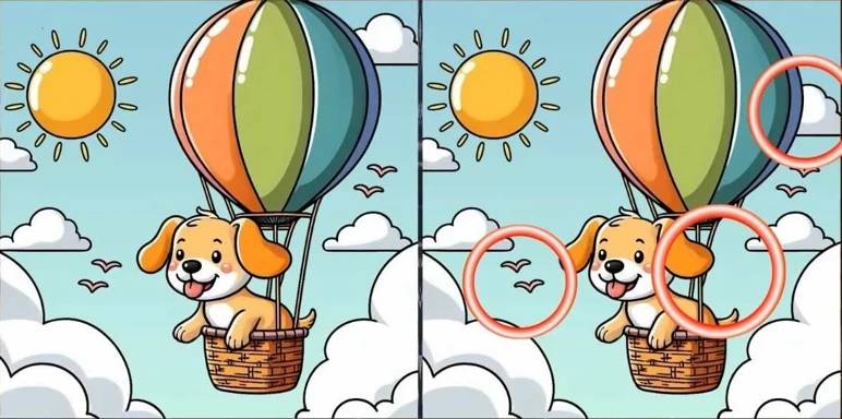 balon-kopek-test-yanit.jpg