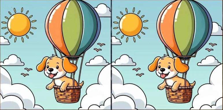 balon-kopek-test.jpg
