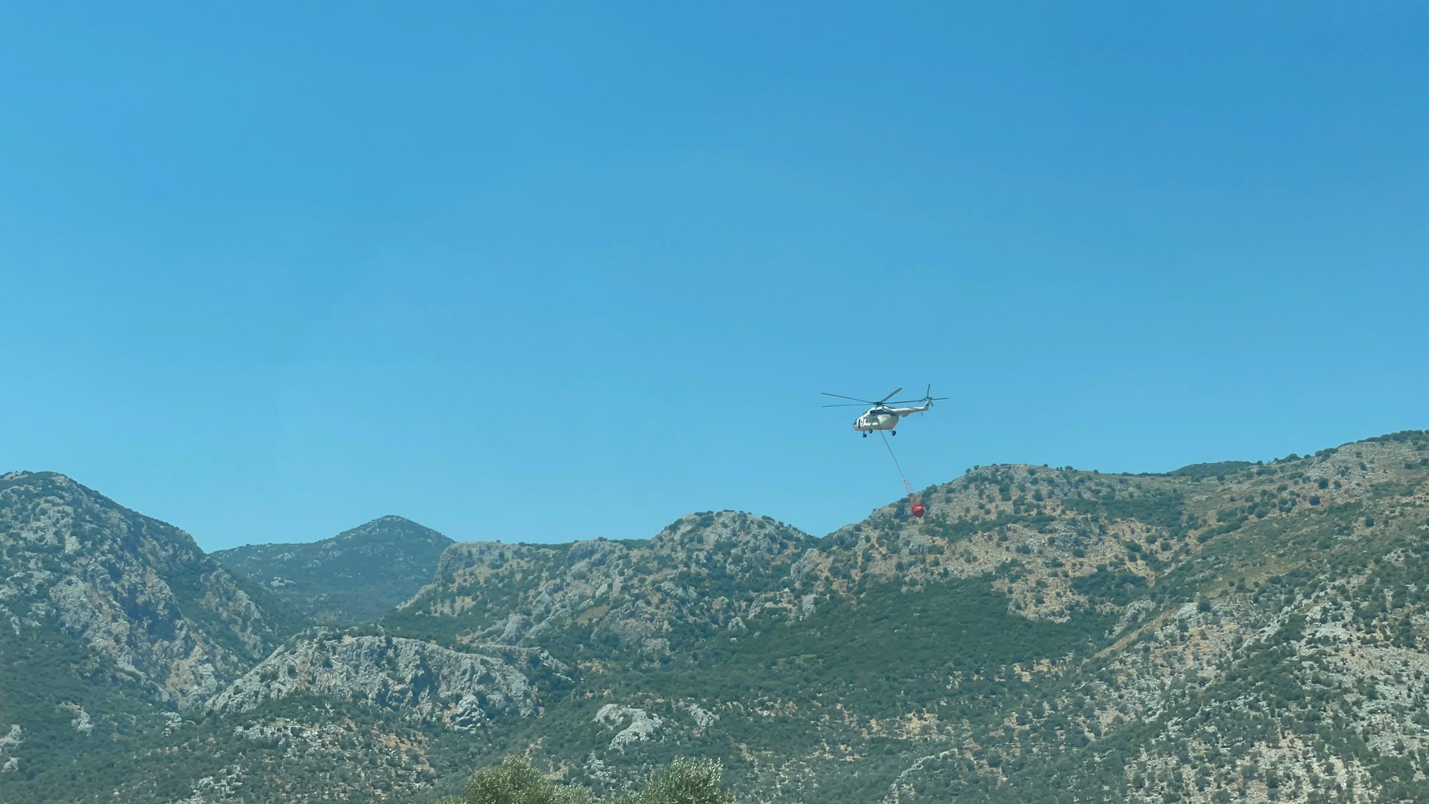 mugla-orman-yangini.jpg