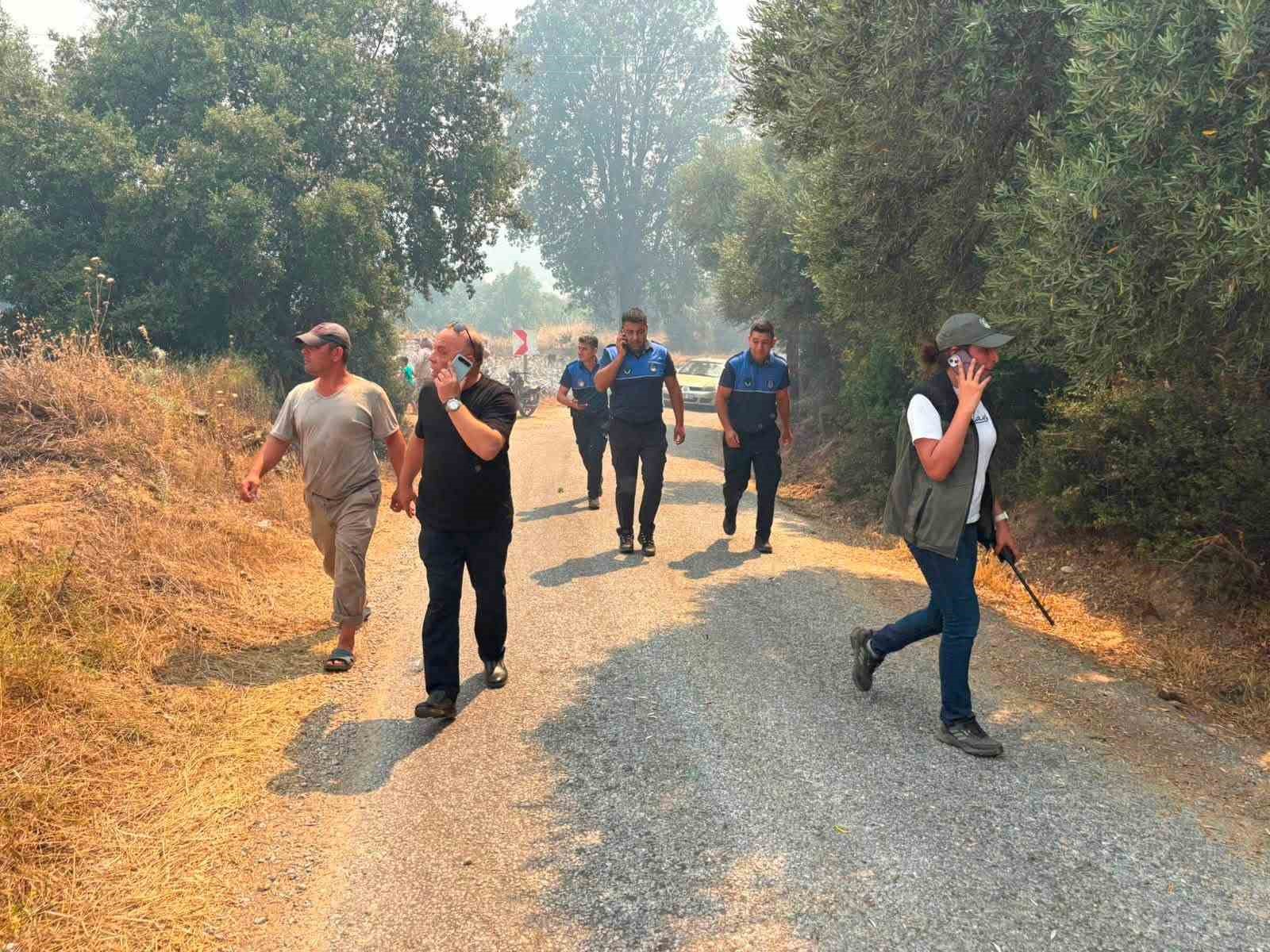 orman.jpg