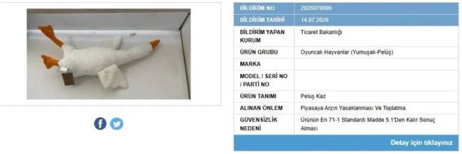 bakanlik-pelus-oyuncak.jpg