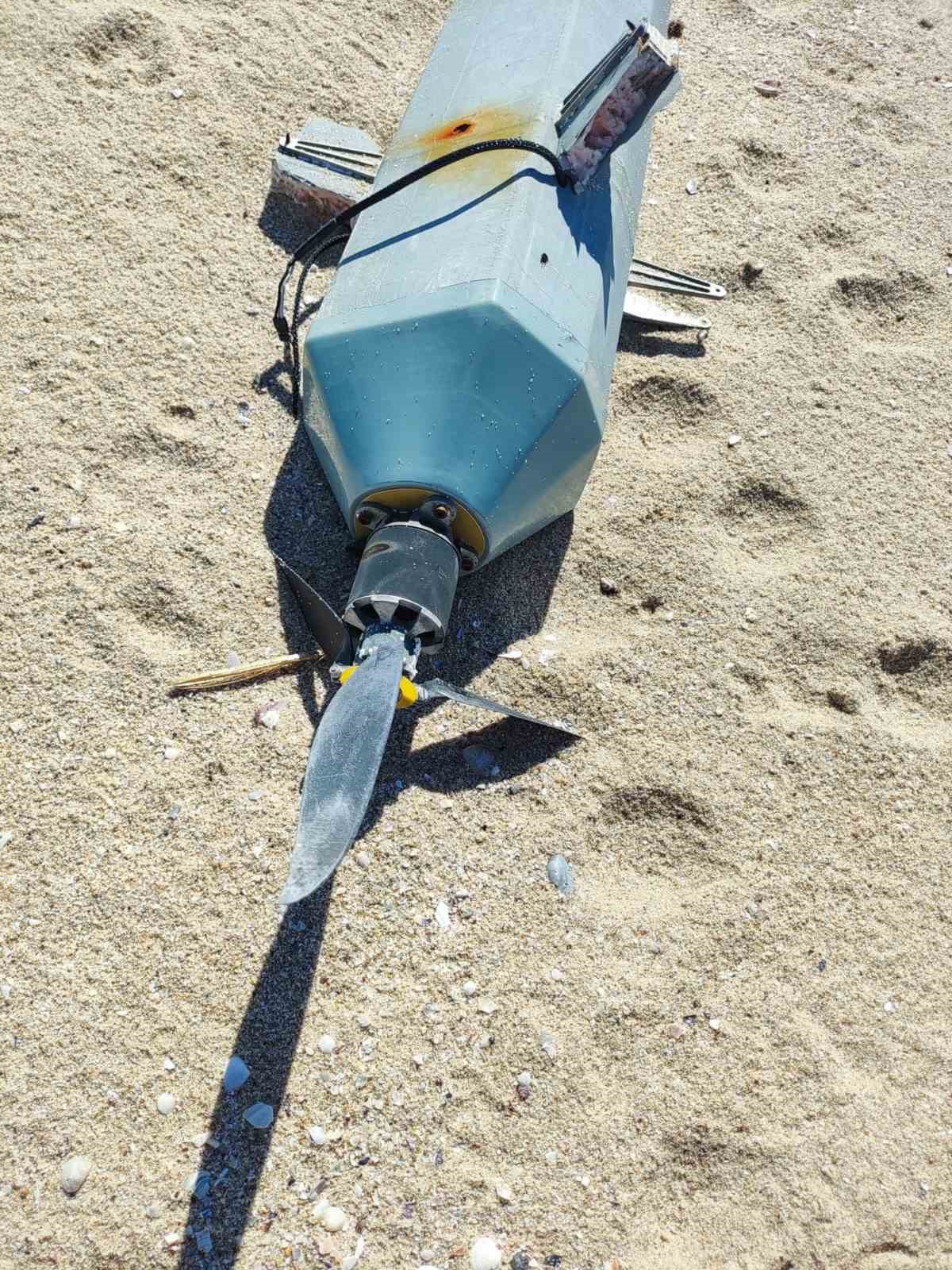 13933740.jpg