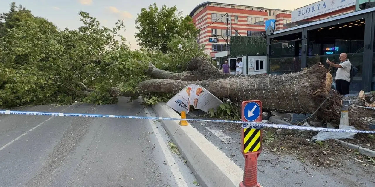 istanbulu-vuran-firtinada-dehset-anlari-1.webp