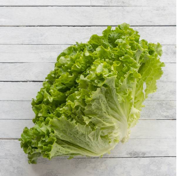 marul-tehlike.jpg