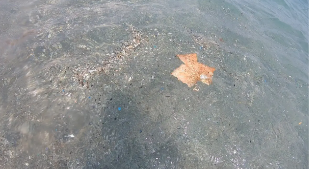 akdeniz1.png