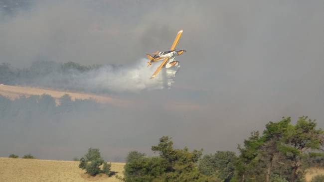 canakkale-orman-yangini1.jpg