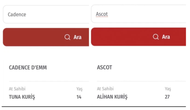 alihan-kuris-at.png