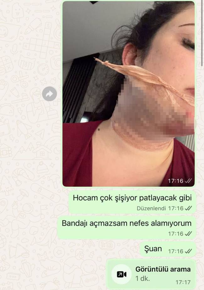 12454564.jpg