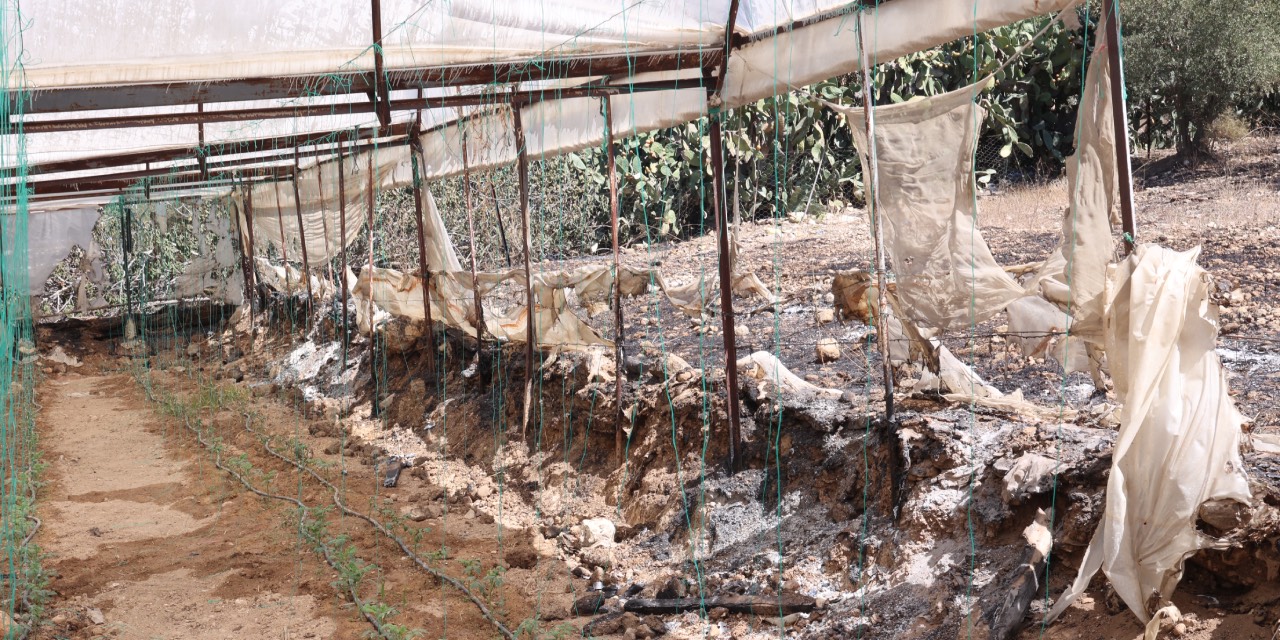 yeni-proje-30.jpg