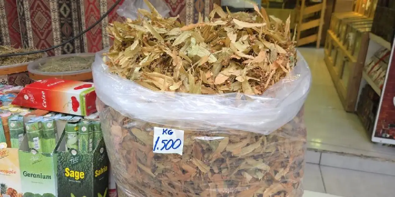 ihlamuru-yanlis-demlemek-butun-sifasini-yok-ediyor-2.webp