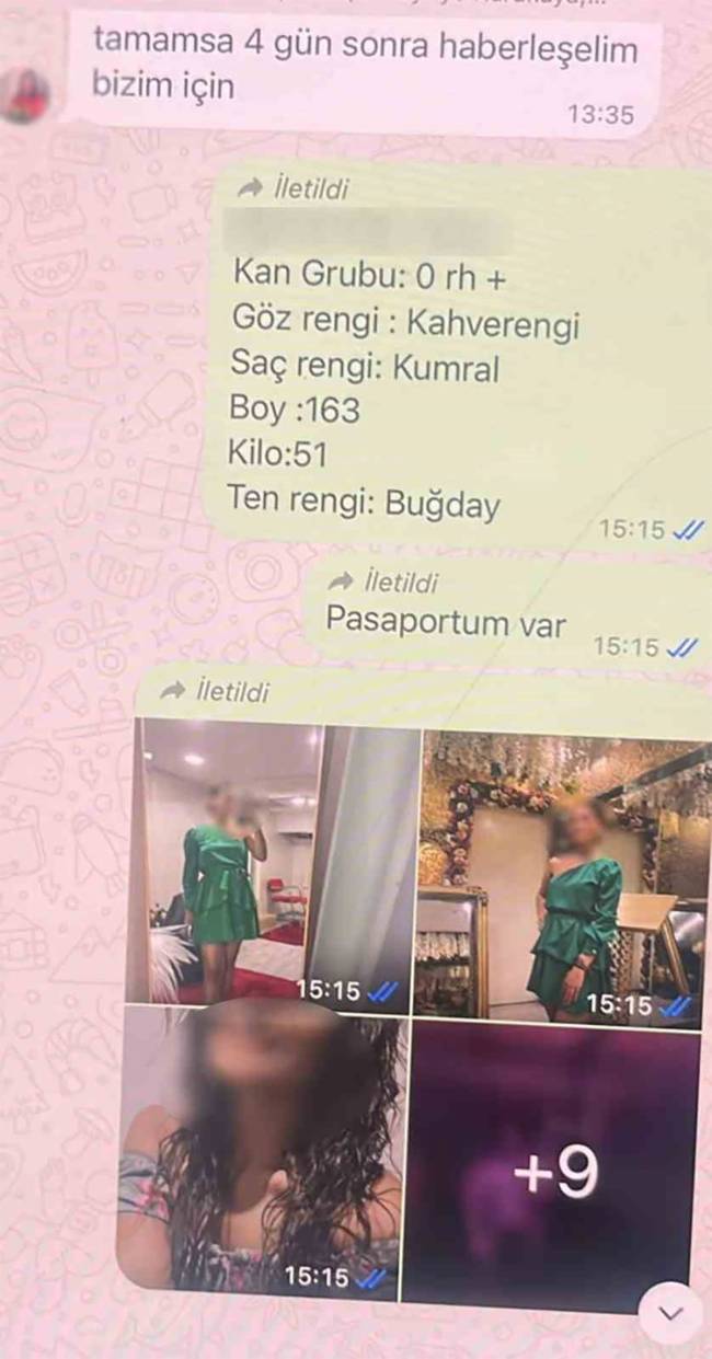 32165456.jpg