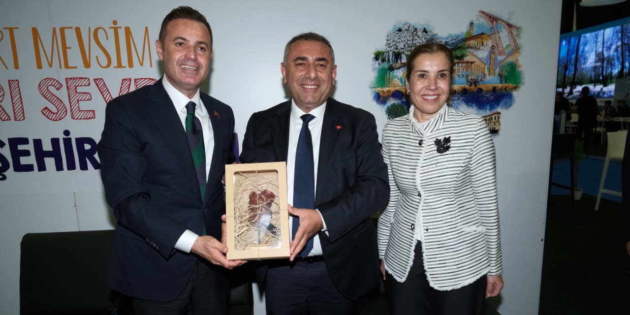 yeni-proje-37.jpg